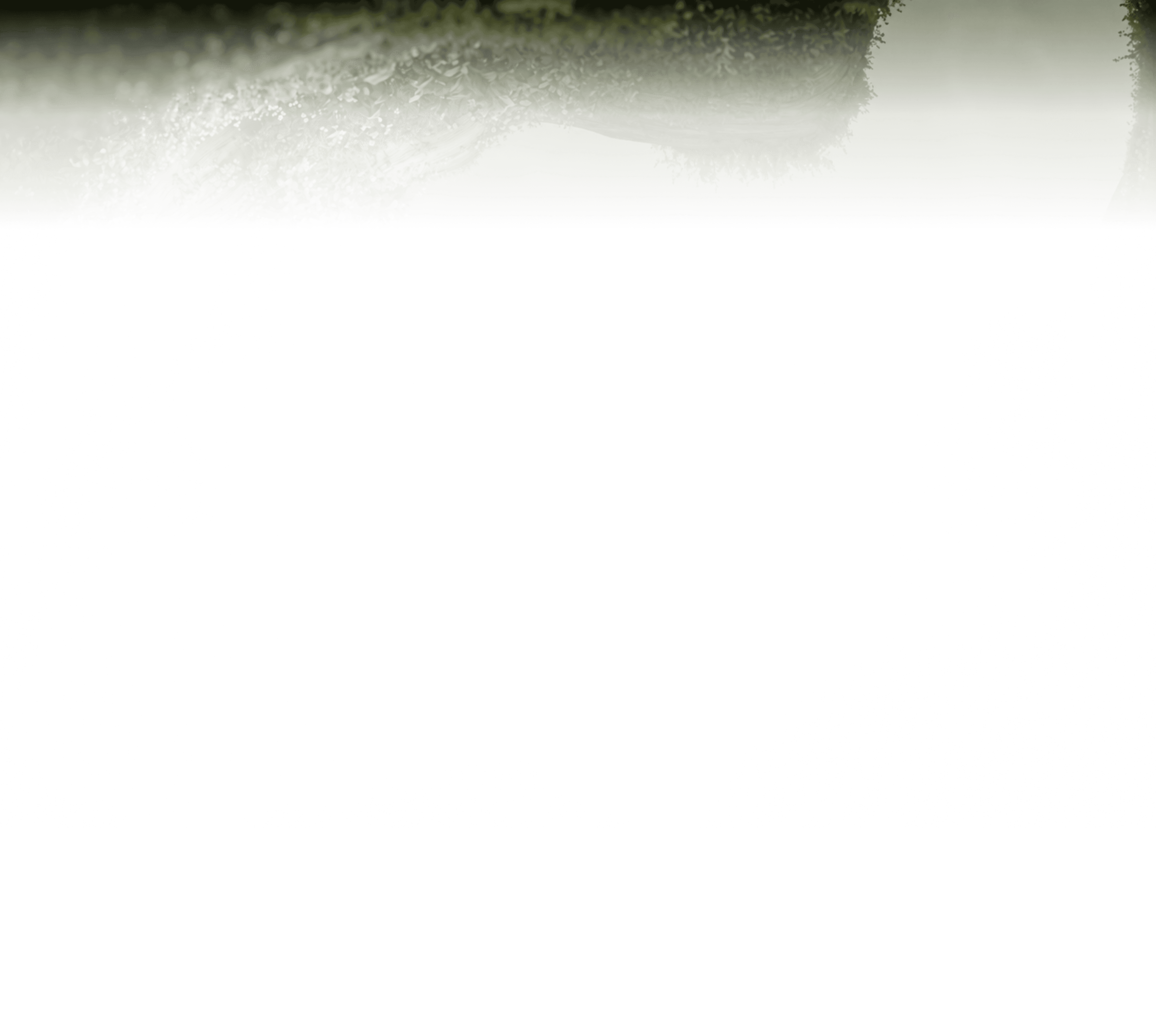 background canvas